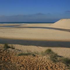 Rivage landes-13.jpg