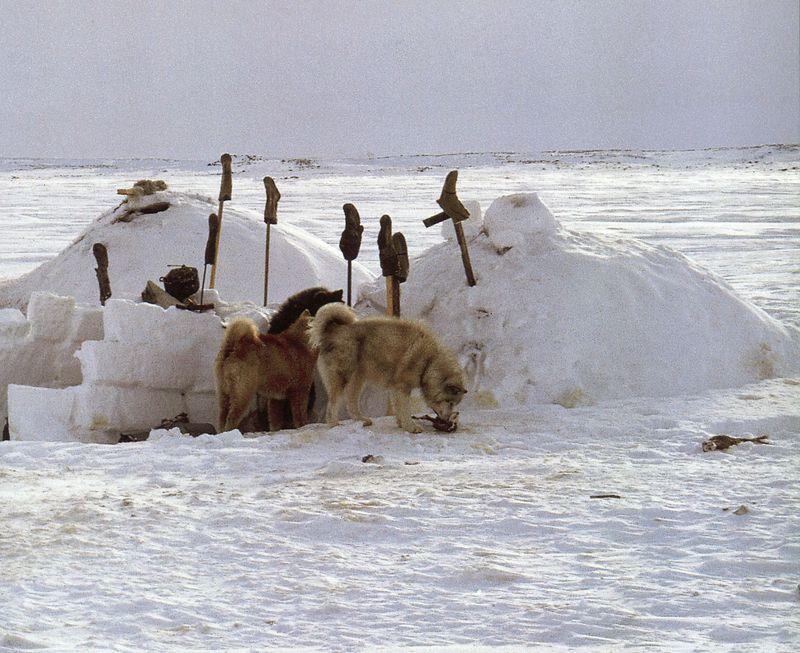 Inuit093