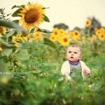 VICTOR-01 Bientôt…