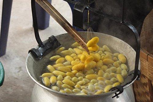 12 octobre 2011: Udonthani. Ban Na Kha. 2eme Festival du tissu DSCF0146 (Medium)