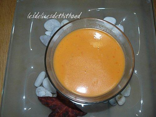 soupe de tomates au cook'in P1120364.JPG