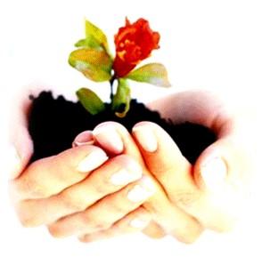 Sincères remerciements à vous tous Sincères remerciements à vous tous