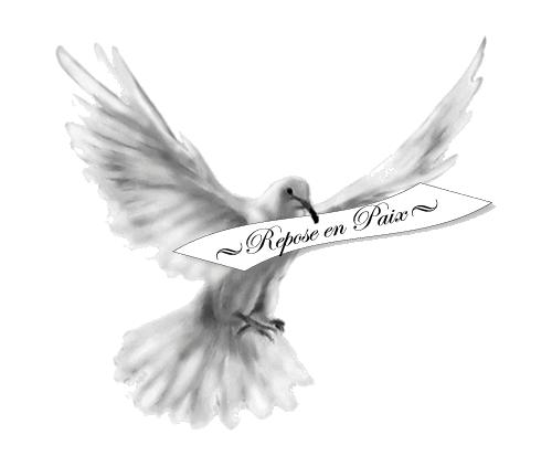 Sincères remerciements à vous tous Sincères remerciements à vous tous