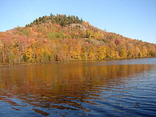 Radieuse rousseur DSC09965