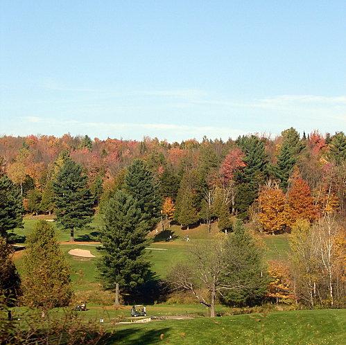 Radieuse rousseur DSC09938