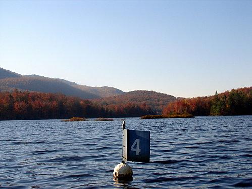 Radieuse rousseur DSC09948