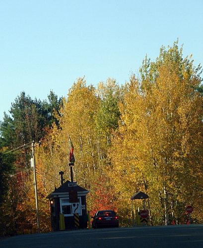 Radieuse rousseur DSC09940