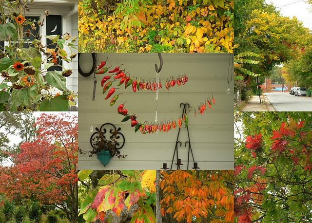 Les Feuilles Tombent et l'Automne Avance Les Feuilles Tombent et l'Automne Avance