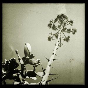 Pour les fans d'Instagram : Instaport ! 2011-08-29_1314615828