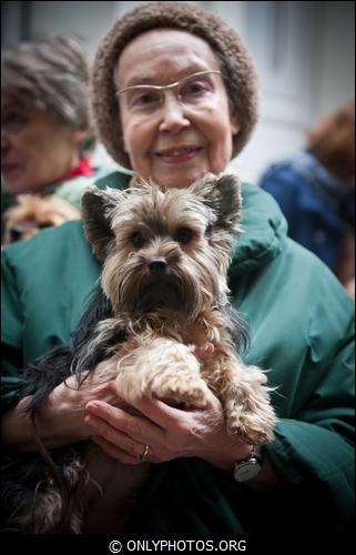 Pêle-Mêle; HDR, village contre la peine de mort, Paris. chien-paris-007