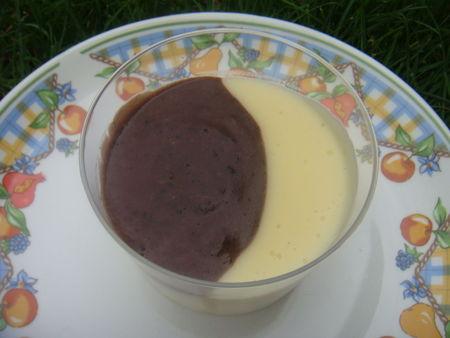 CREME DESSERT AUX 2 SAVEURS DSC09694