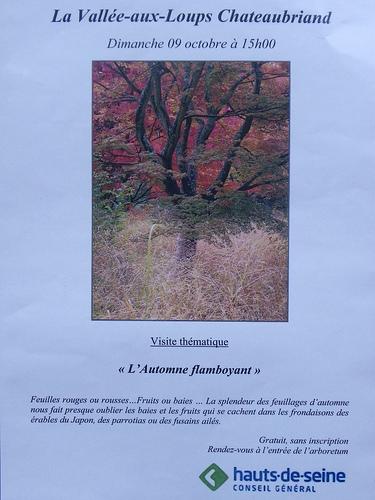 Compte-rendu Paris octobre 2011 (2) Arboretum 02