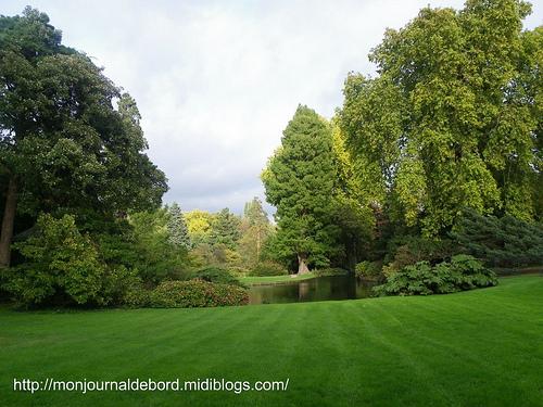 Compte-rendu Paris octobre 2011 (2) Arboretum 01