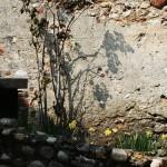 renovation-ecologique La rénovation écologique- enjeu de valorisation du patrimoine