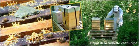 Blog apiculture division d'une ruche abeilles (8)