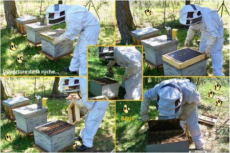 Blog apiculture division d'une ruche abeilles (5)