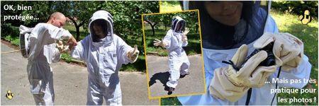 Blog apiculture division d'une ruche abeilles (2)