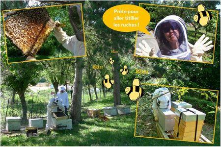 Blog apiculture division d'une ruche abeilles (1)
