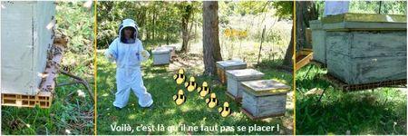 Blog apiculture division d'une ruche abeilles (3)