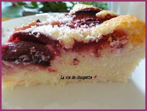 DOUCEUR A LA NOIX DE COCO ET PECHES DE VIGNE 027