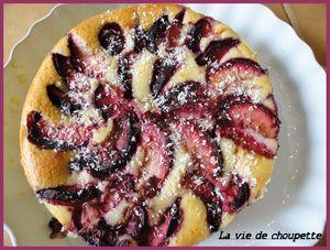 DOUCEUR A LA NOIX DE COCO ET PECHES DE VIGNE 026