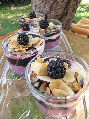 VERRINES CREMEUSES CHEVRE ET MURES SAUVAGES Vicq aout 2011 022