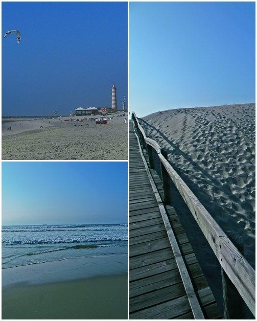 La Venise du Portugal Praïa Da Barra