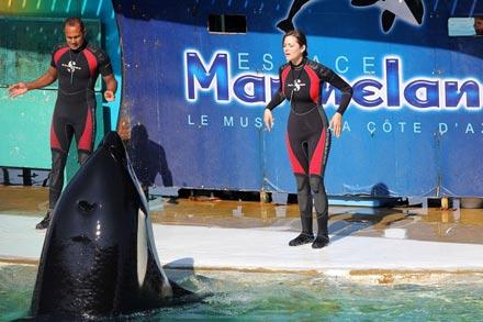 Marion_Cotillard_Marion_Cotillard_Trains_Whales_AaiaOGVP5oul.jpg