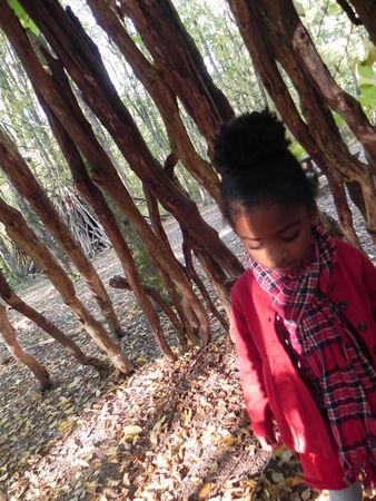 Poetic poésie Photo_011