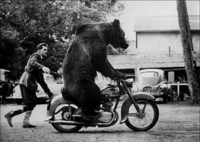 Il y a trop longtemps que je n'ai fait de la moto... Il y a trop longtemps que je n'ai fait de la moto...