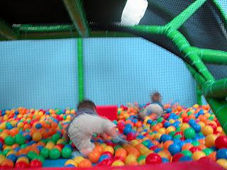 Les lionceaux s'éclatent dans la cage ! Les lionceaux s'éclatent dans la cage !