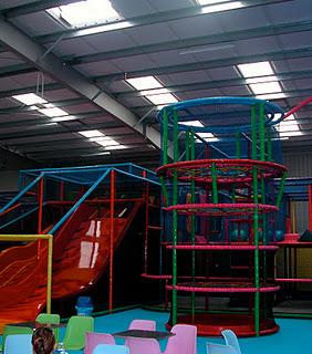 Les lionceaux s'éclatent dans la cage ! Les lionceaux s'éclatent dans la cage !