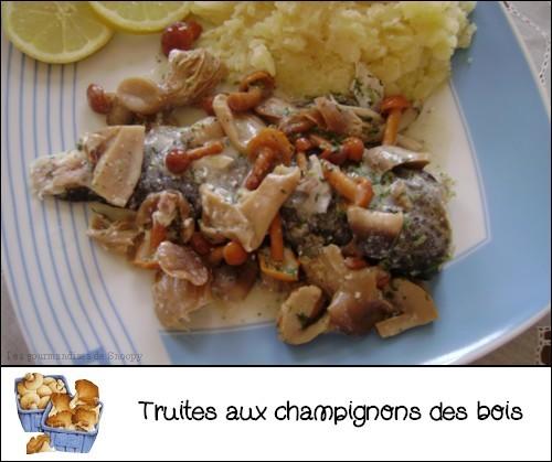 Truites-aux-champignons-des-bois.jpg