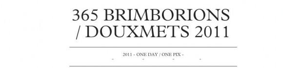 brimborions 365 Douxmets 2011365brimborions.tumblr.com  580x140 365 / one day, one pix, #09