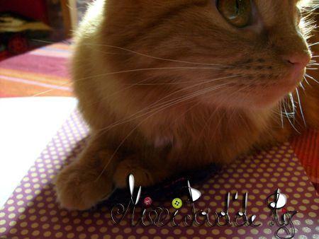 Comment on fait le granny yoyo ? S6300046