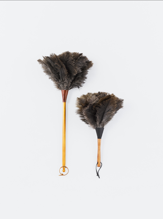 4 Arts & Science – L’essentiel