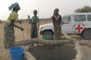 Nord Niger / Nord Mali : entre crise alimentaire et insécurité