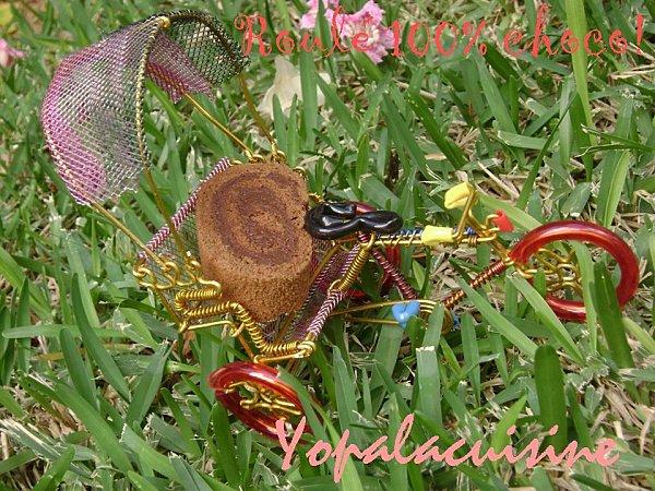 Roulé tout choco... tout gourmand! Diapositive4-copie-2