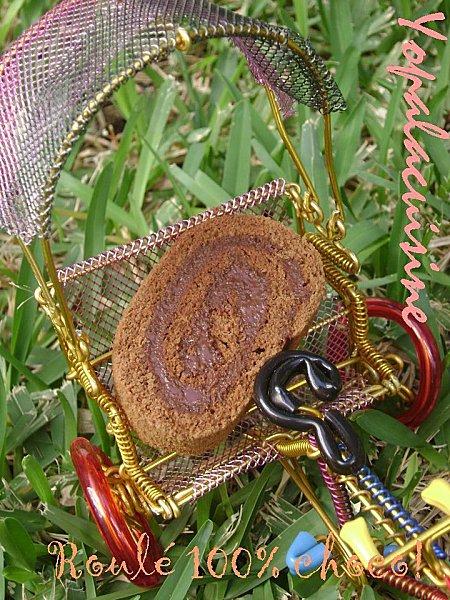 Roulé tout choco... tout gourmand! Diapositive3-copie-4