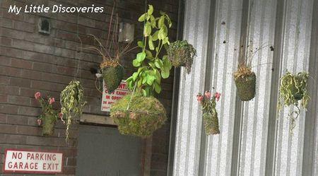 See No Evil: quand Bristol offre ses murs au street art See No Evil 5