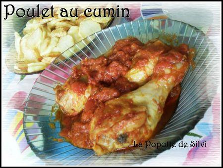 Poulet sauce tomate et cumin SAM_8554