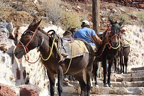 Chemin des ânes oia Chemin des ânes oia