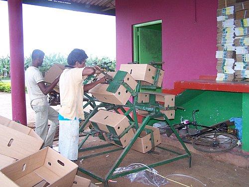 SRI LANKA : L'ODYSSEE DE LA BANANE SRI-LANKA-1-400.JPG