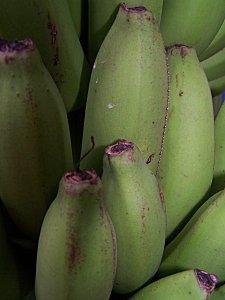 SRI LANKA : L'ODYSSEE DE LA BANANE SRI-LANKA-1-383.JPG