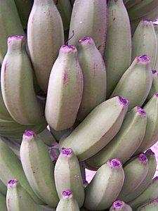 SRI LANKA : L'ODYSSEE DE LA BANANE SRI-LANKA-1-384.JPG