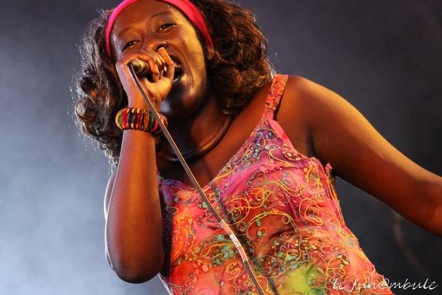 Jammin Tropers j17.jpg