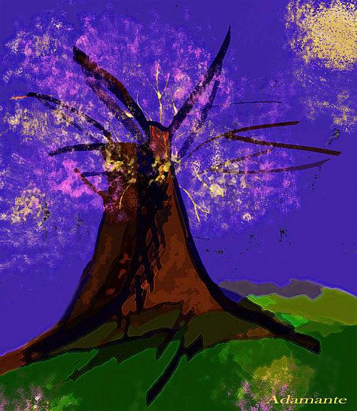 Je les ai vus les-deux-arbres--copie.jpg