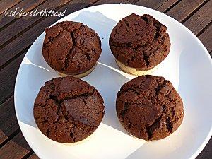 muffins marbrés P1120430.JPG