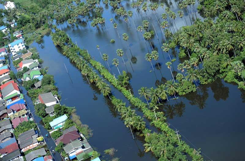 <b></div>Dévastée</b>. C’est une région noyée. Les habitations de la province de Pathum Thani, en Thaïlande, ont été littéralement englouties par les eaux alors qu’une pluie battante continue de tomber. Pour l’heure, Bangkok est épargnée, mais la capitale se prépare au pire. Les habitants ont fait des provisions de bouteilles d'eau, de nouilles, de riz et de conserves. Plusieurs d'entre eux ont stationné leur voiture dans des garages surélevés et ont installé des sacs de sable devant leur maison et leur commerce. 