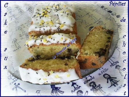 Cake aux pépites de chocolat SAM_8664